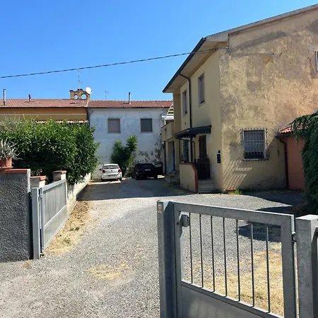 Cecco * Pisa