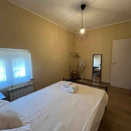 Cecco Pisa